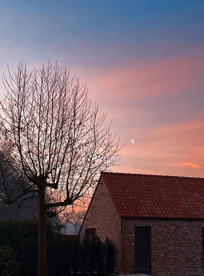 Bloemendale Guesthouse Bruges Luaran gambar